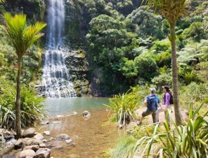 Stunning waterfalls close to Auckland
